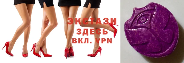 индика Саяногорск