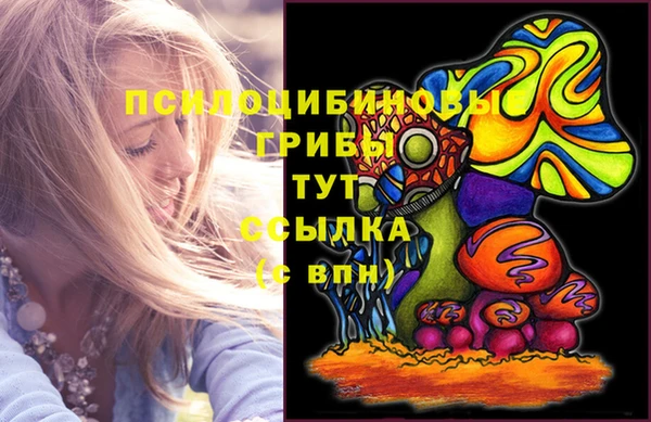 прущие крисы Балахна