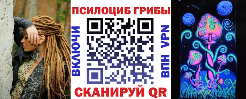 Псилоцибиновые грибы Magic Shrooms  дарнет шоп  Магас 