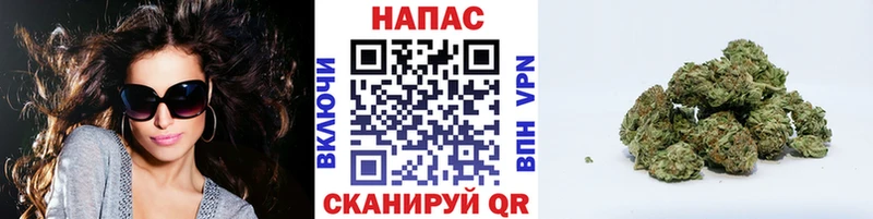 цены Магас Бошки Шишки гибрид